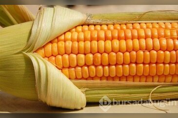 Mısır stresi azaltıyor