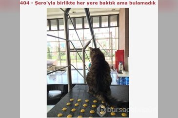 İlginç 404 hata sayfaları