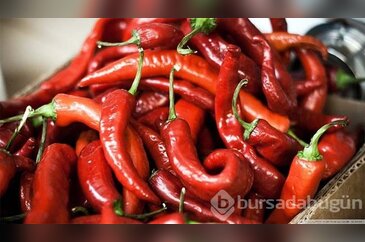 C vitamininde portakalı geçen yiyecekler