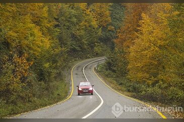Sonbaharın renk şöleni