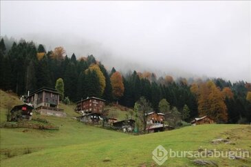 Ayder Yaylası'nda sonbahar