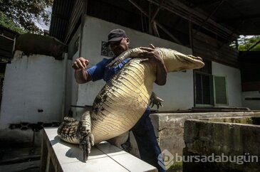 Endonezya'da timsahlarla korunacak hapishane tasarısı