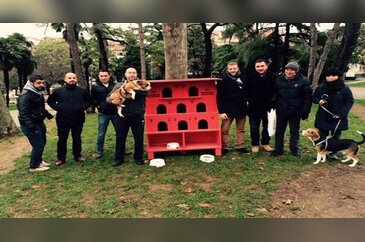 Havalar daha da soğumadan sokak hayvanları için ne yapabiliriz?