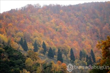 Samsun'da sonbahar