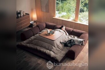 Japonya'nın çılgın mucidi