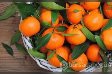 Saça, cilde, uykusuzluğa mandalina!