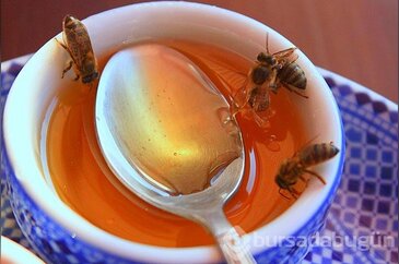 Bal arılarının sırrı çözüldü!