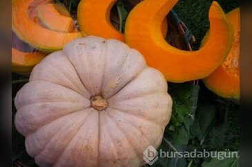 Balkabağının faydaları