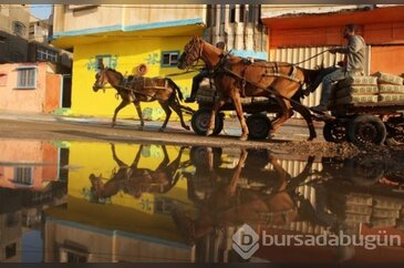Filistin'li mültecilerin sanatsal çalışmaları