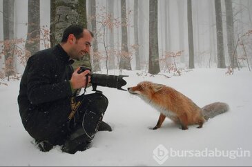 Doğadaki hayvanların fotoğraf merakı