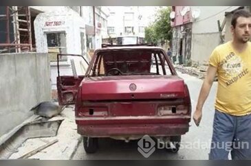 Küflü Şahin'i yepyeni yaptılar