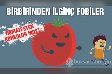 Birbirinden ilginç fobiler