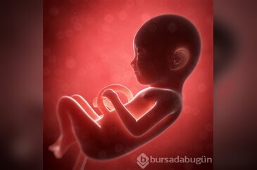 Zeka geni anneden mi yoksa babadan mı geçiyor?
