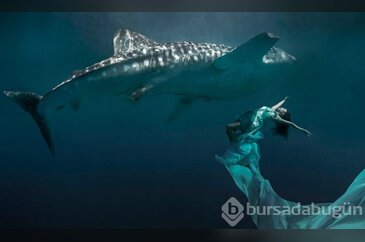 Vahşi hayvanlarla fotoğraf çektirenler