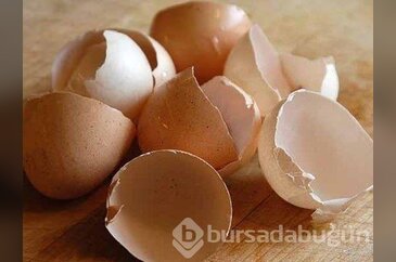 Çöp deyip attıklarınız bakın ne işe yarıyor