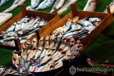 Hangi balık hangi ayda yenir?