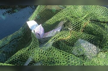 Tuna Nehri'nde 100 bin euro buldu