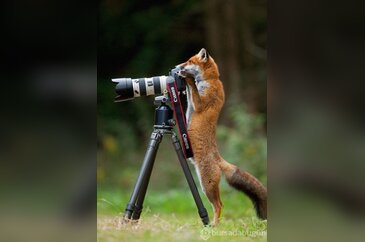 Bu fotoğraflara çok güleceksiniz