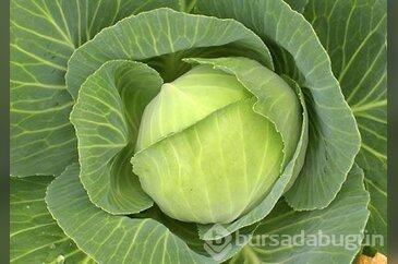 Mide yanmasını söndüren gıdalar!