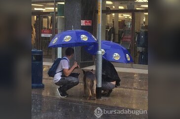 Bu fotoğraflar içinizi ısıtacak