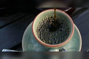 Fil dışkısından en pahalı kahve
