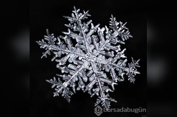 Kar tanelerinin içinizi ısıtacak fotoğrafları