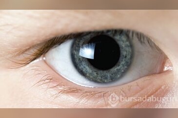 Aşık olduğunuzu nasıl anlarsınız?