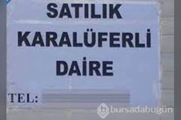 Yurdum insanının dil bilgisiyle imtihanı