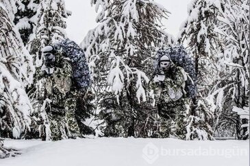 Bu fotoğrafların hepsi gerçek