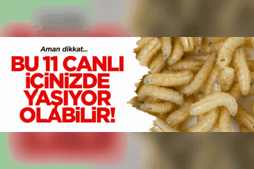 Dikkat! Bu 11 canlı içinizde yaşıyor olabilir