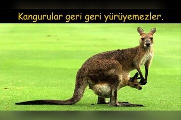 Doğruluğuna İnanamayacağınız İlginç 34 Bilgi