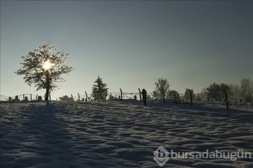 Kastamonu'da soğuk hava