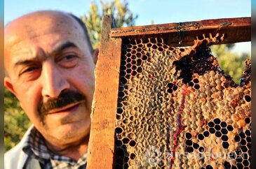 Arılardan "Kırmızı bal"