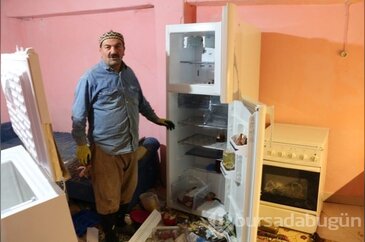 Aç kalan ayı evi talan etti