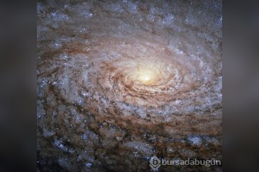 Yılın astronomi fotoğrafları