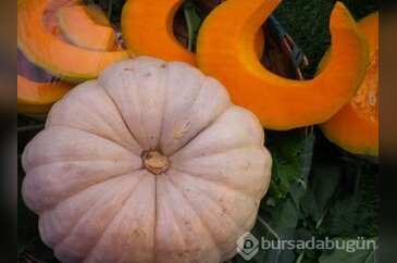 Balkabağı tam bir mucize!