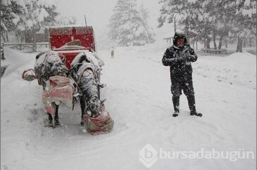 Abant Tabiat Parkı'nda kartpostallık kareler