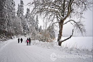 Vücudu ısıtan gıdalar	

