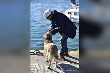 Eve dönüştürdüğü minibüste köpekleriyle yaşıyor	