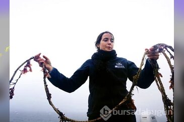 2015'te kıyıda köşede kalmış pek mühim 23 keşif