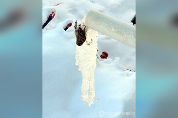 Kış en çok onları etkiliyor