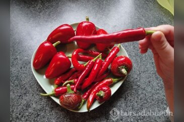 Midenizi kansere karşı acı biberle koruyun!