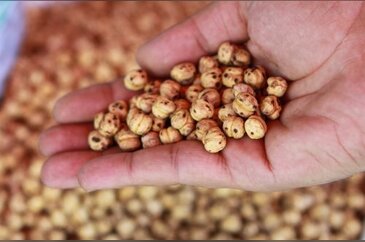 Kilo aldırmayan 10 sağlıklı abur cubur
