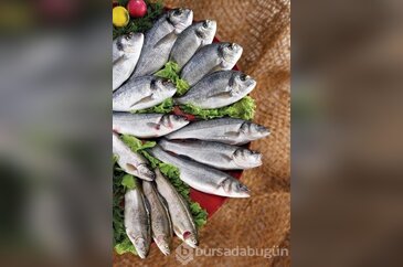 Hangi ayda ne tüketilmeli?