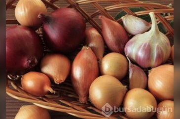 Oturma odasına soğan koyunca...