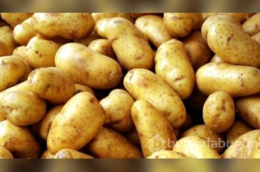 Dikkat! Patatesi böyle saklarsanız kanser yapar!