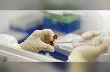 Bunu yiyin domuz gribini önleyin!