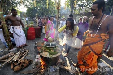Thai Pongal Hindu Festivali Sri Lanka	
