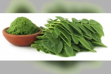 Aynı anda 300 hastalığa şifa olan bitki
