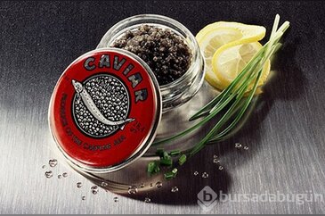 Dünyanın en pahalı ve tuhaf konserveleri